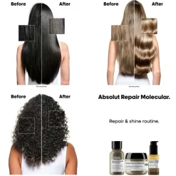 L'Oréal Professionnel Hårolie & Serum<Absolut Repair Molecular Bi-phase Oil