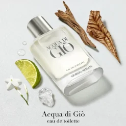 Armani Acqua di Giò Eau de Toilette< Eau De Toilette|Eau De Toilette