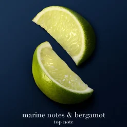 Armani Eau De Parfum<Acqua di Giò Profondo Parfum