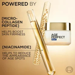 L'Oréal Paris Natcreme><noscript><img width=