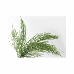 Less Is More Balsam<Aloe Mint Volume Conditioner