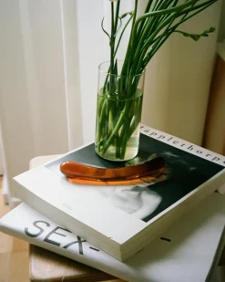 Peech Sexlegetøj><noscript><img width=