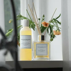Tromborg Duft Til Hjemmet|Duftpinde>Aroma Therapy Room Diffuser