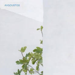 Korres Avgoustos EdT< Eau De Toilette