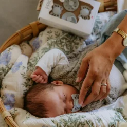 FRIGG Begynder Suttepakke<Børn Sutter