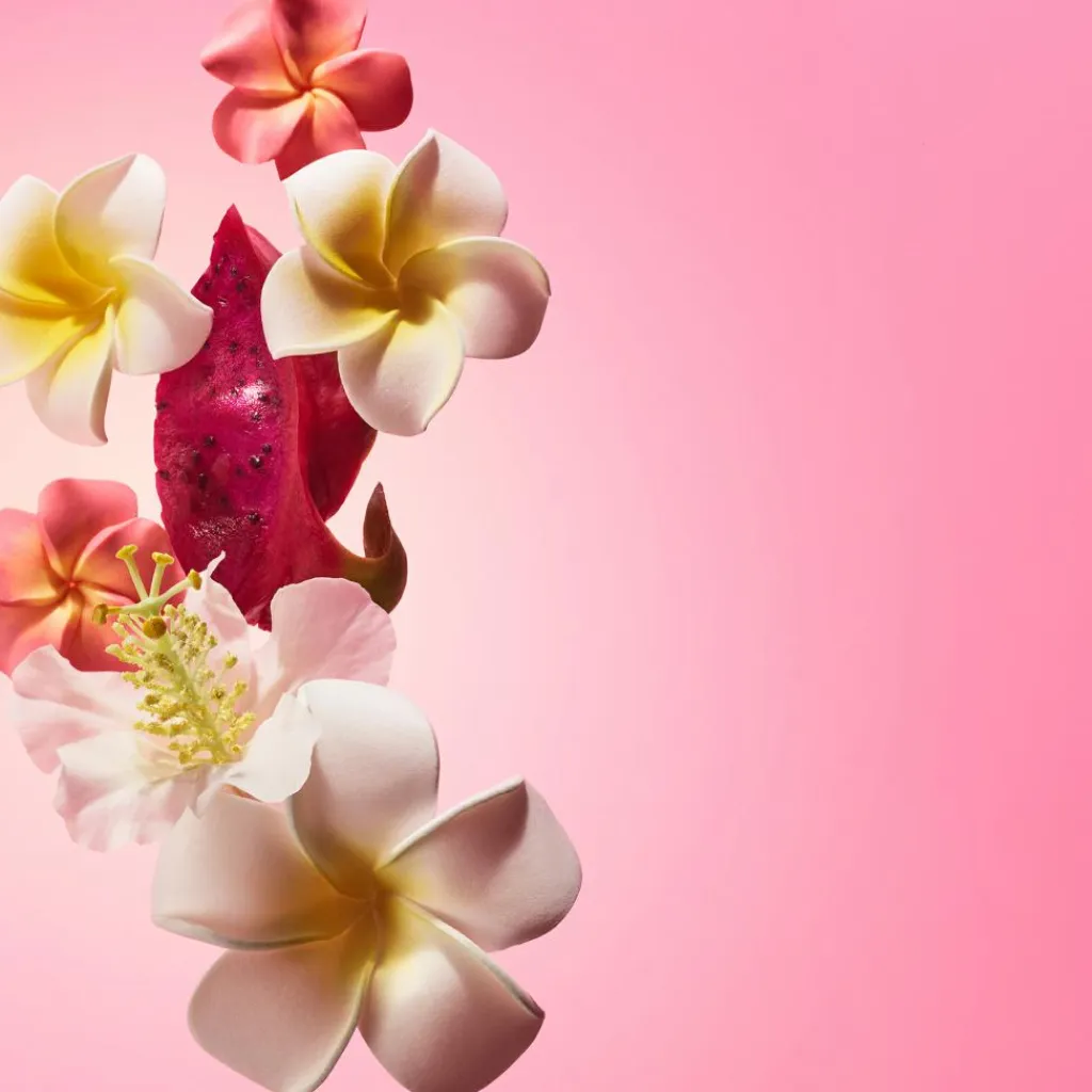 Sol de Janeiro Bodylotion<Beija Flor Collagen Cream