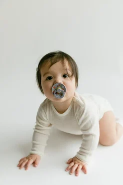 BIBS Sutter><noscript><img width=