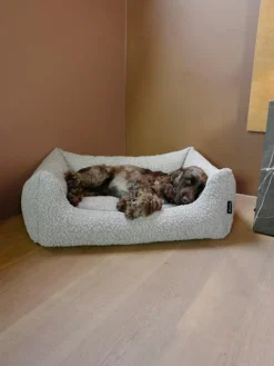 nordog Hundesenge<Billy Bouclé Hundeseng