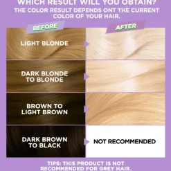 Garnier Permanent Hårfarve<Bleach
