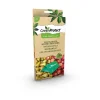 GreenProtect Æbleviklerfælde< Skadedyrsbekæmpelse