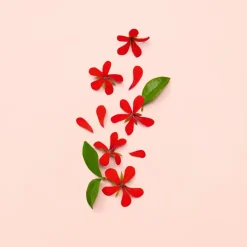 Gucci Eau De Parfum|Eau De Parfum><noscript><img width=