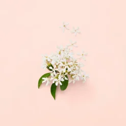 Gucci Eau De Parfum|Eau De Parfum><noscript><img width=