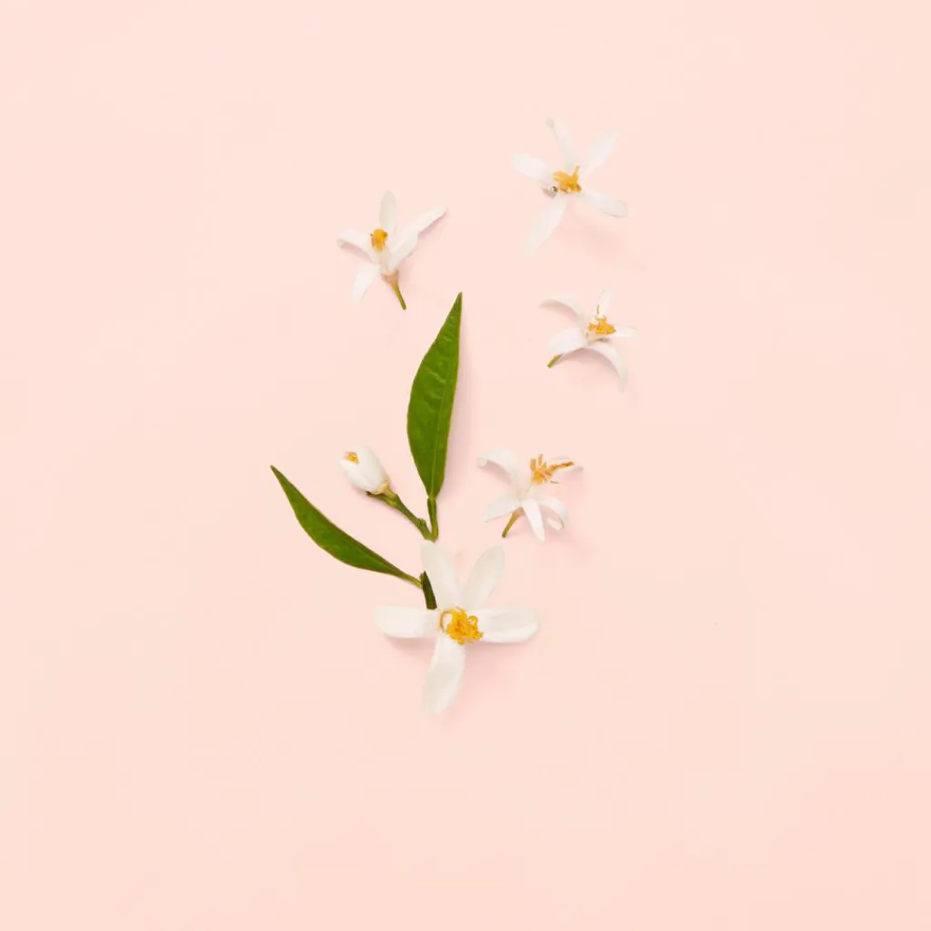 Gucci Eau De Parfum|Parfumer Til Hende<Bloom Eau de Toilette for Women