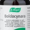 A.Vogel Fordøjelse & Fibre<Boldocynara