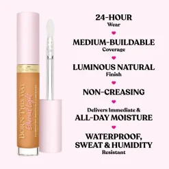 Too Faced Concealer><noscript><img width=