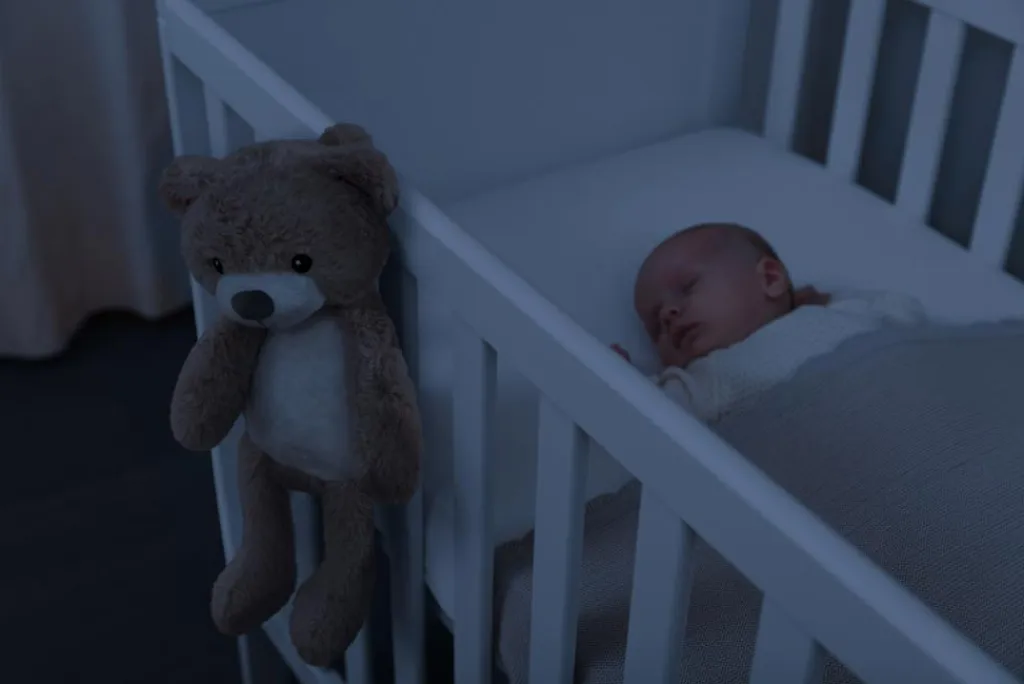 Zazu Brody the Bear Sleeptrainer<Børn Natlamper|Lys & Lamper