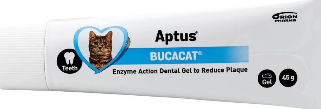 Aptus Øvrigt<Bucacat Pasta Tandgel Kat