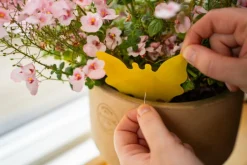 Trinol Skadedyrsbekæmpelse><noscript><img width=