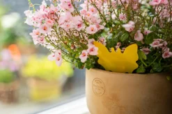 Trinol Skadedyrsbekæmpelse><noscript><img width=