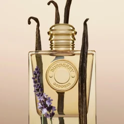 Burberry Goddess Eau de Parfum< Eau De Parfum|Parfumer Til Hende