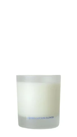 WASHOLOGI Tekstilpleje>Candle Desire