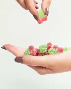 Pandy Cheery Sukkerfri< Lakrids & Vingummi