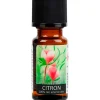Unique Citronolie< Duftolier