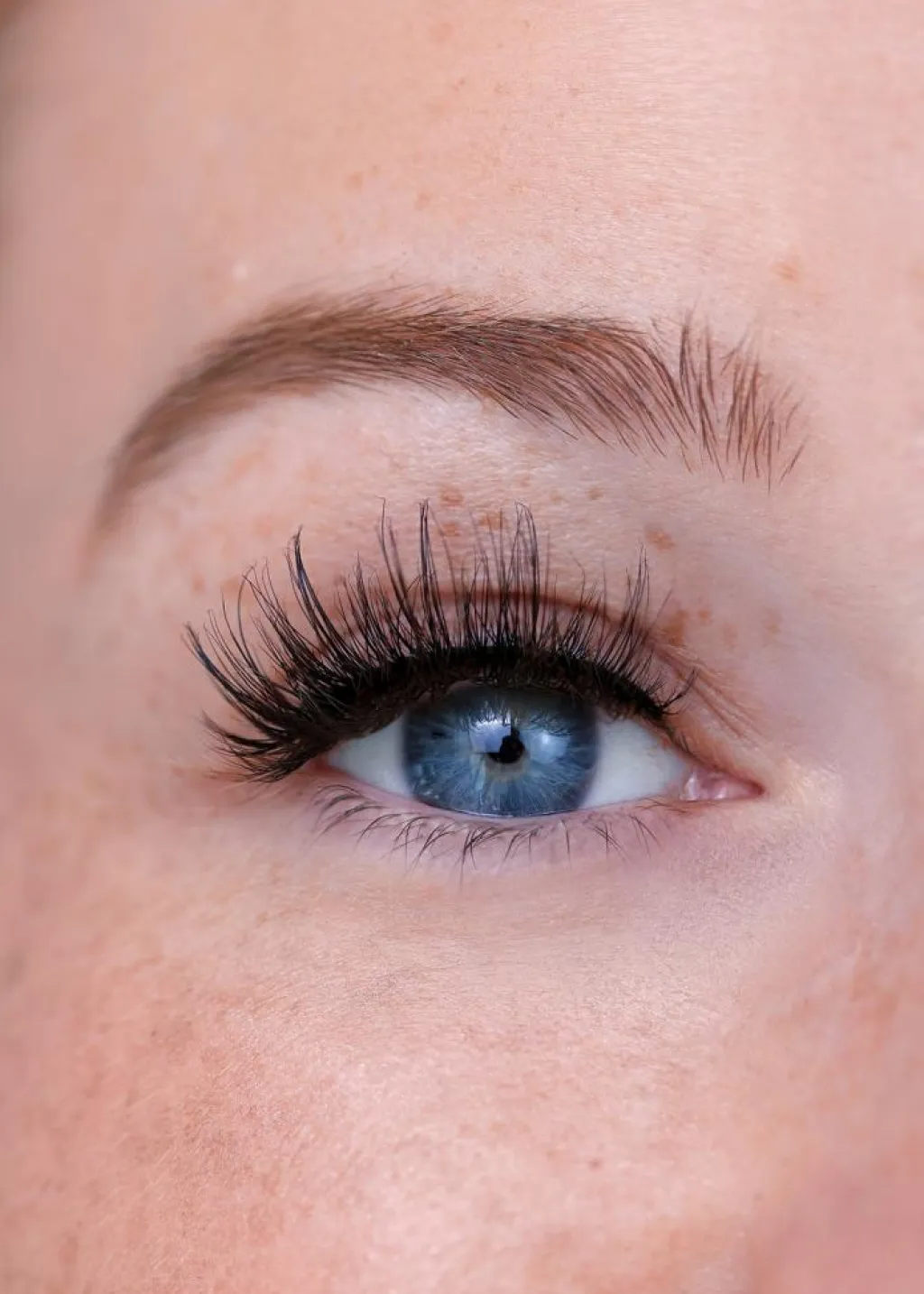 DUFFBEAUTY Øjenvipper<Classic Collection