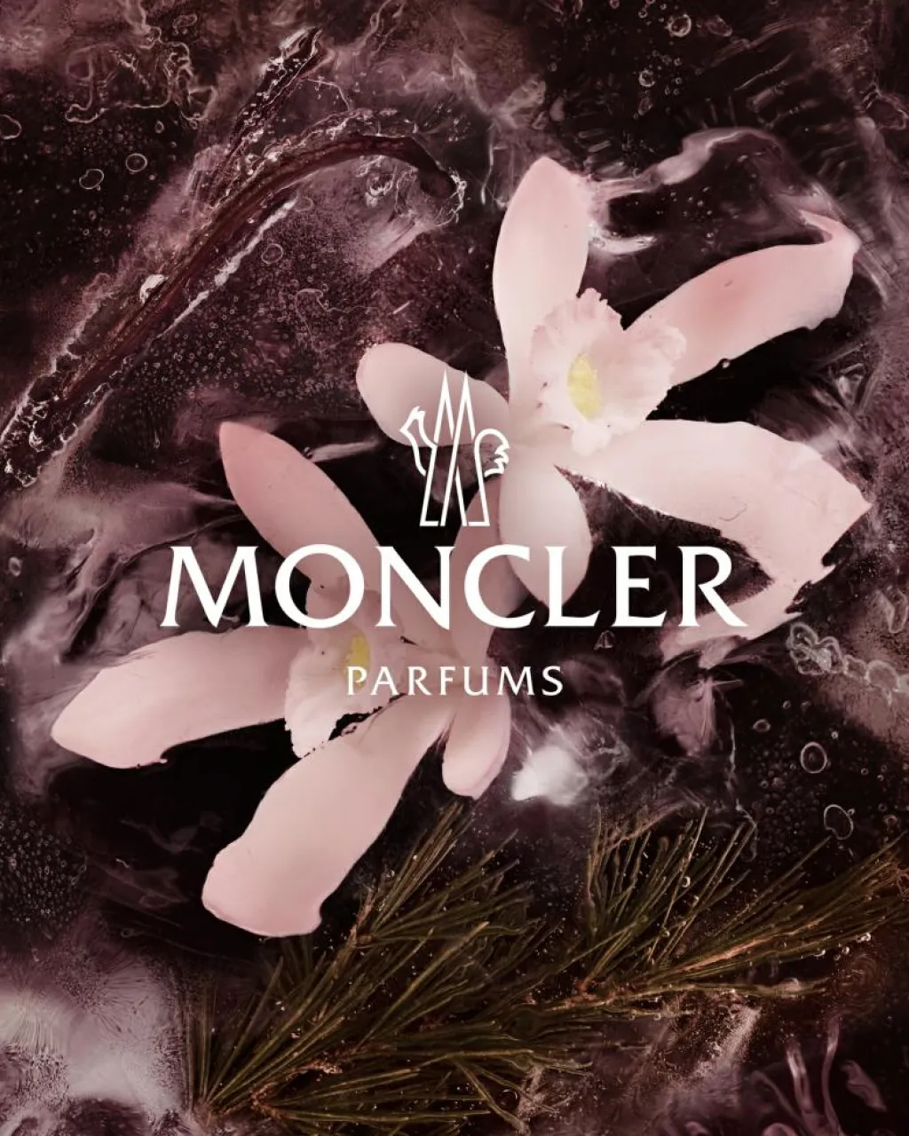 Moncler Collection Haute Montagne Eau de Parfum< Til Hende