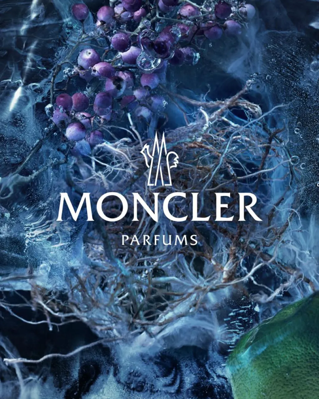 Moncler Til Ham>Collection Le Bois Glace Eau de Parfum