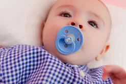 BIBS Sutter><noscript><img width=