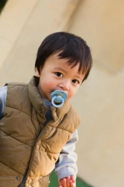 BIBS Sutter><noscript><img width=