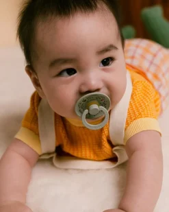BIBS Sutter><noscript><img width=