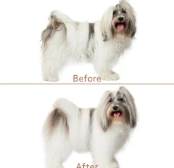 nocat studio Hundeshampoo<Cuddle+Care Hundeshampoo