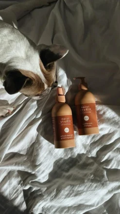 nocat studio Cuddle+Care Hundeshampoo< Hundeshampoo