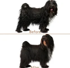 nocat studio Cuddle+Care Hundeshampoo< Hundeshampoo