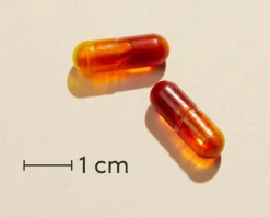 Biosym Ingredienser<CurcuSym Boost® Kosttilskud