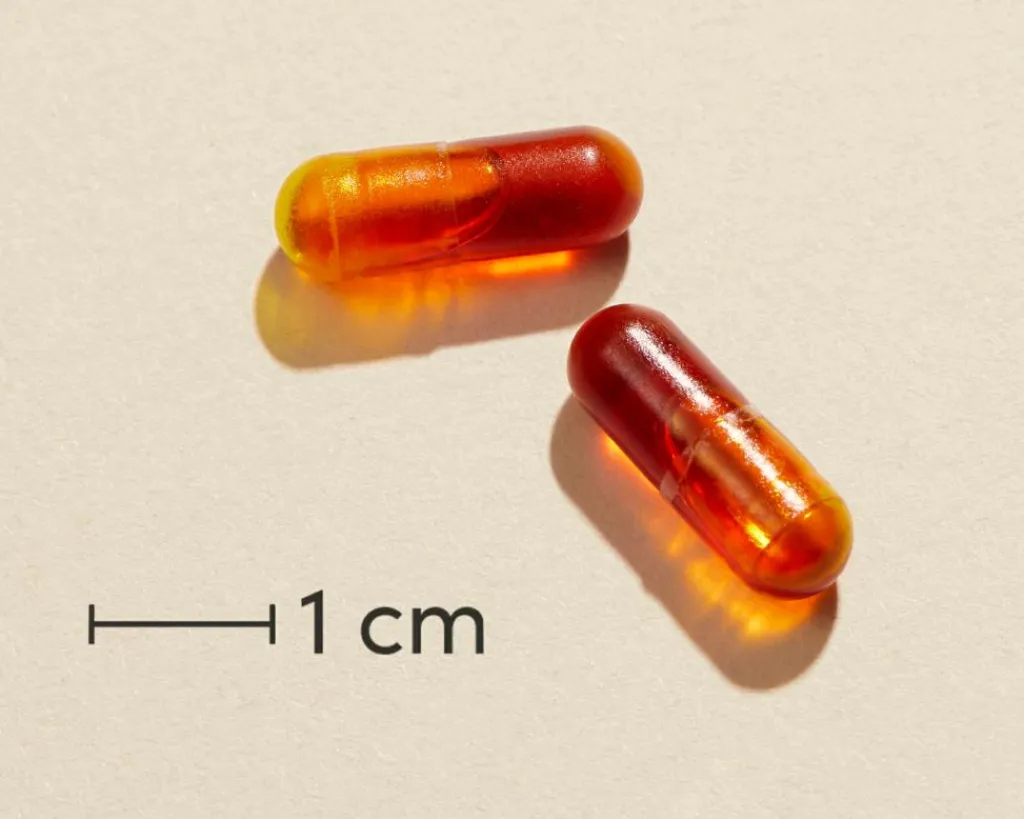 Biosym Ingredienser<CurcuSym Boost® Kosttilskud