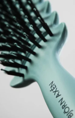 Björn Axén Hårbørster><noscript><img width=