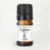 COOHÉ Cypress Essential Oil< Duftolier