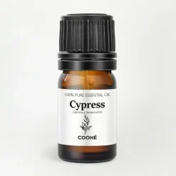COOHÉ Cypress Essential Oil< Duftolier