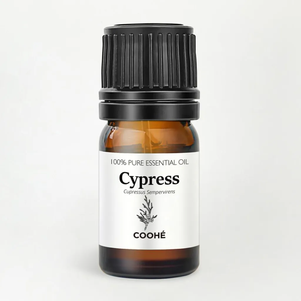COOHÉ Cypress Essential Oil< Duftolier