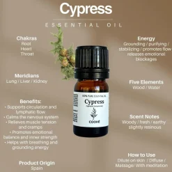 COOHÉ Cypress Essential Oil< Duftolier