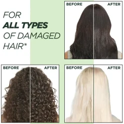Garnier Shampoo<Damage Eraser Shampoo