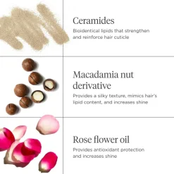 Briogeo Don't Despair, Repair! Strengthening Treatment Oil< Hårolie & Serum