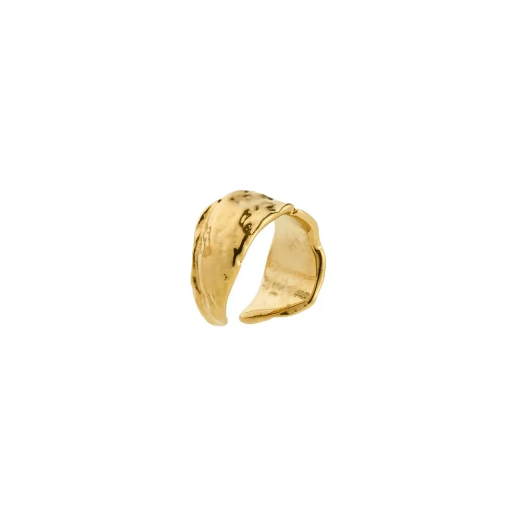 Pilgrim Ear Cuff< Smykker