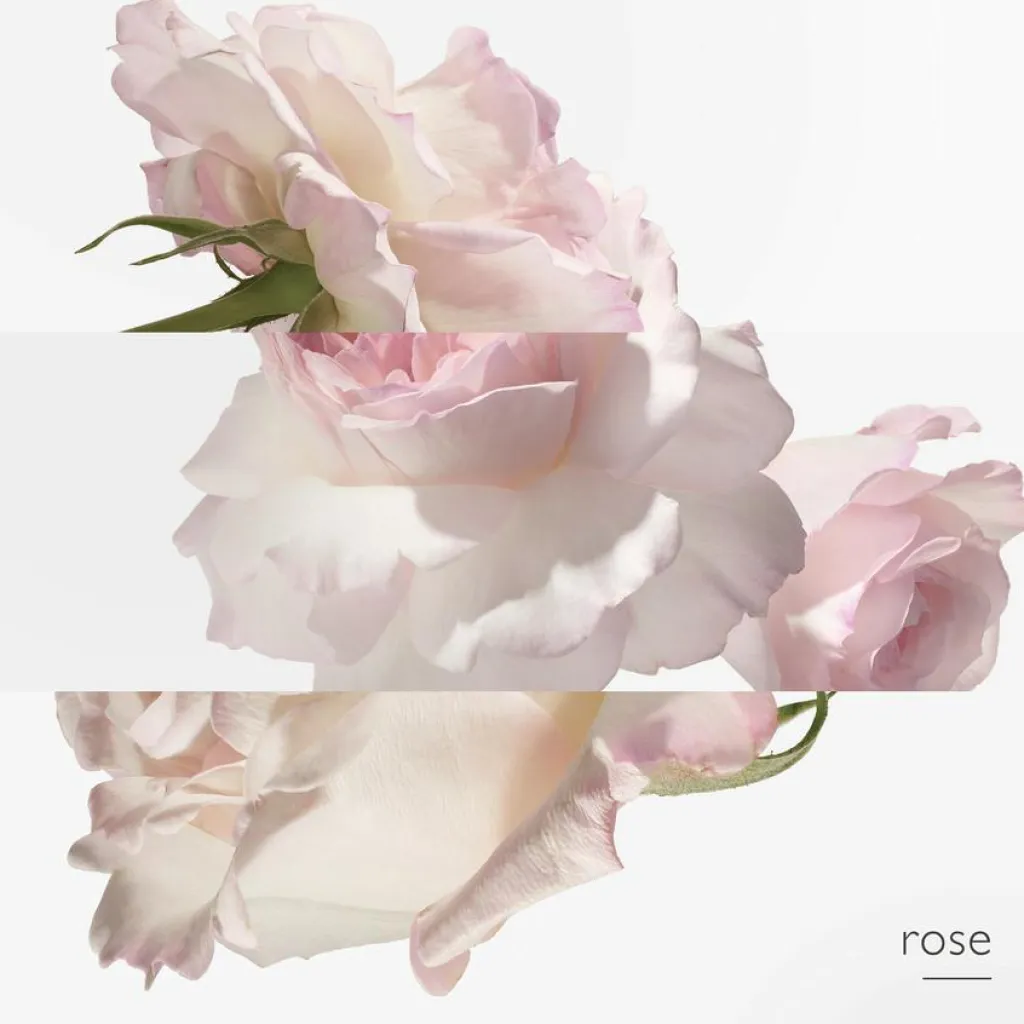 HERMÈS Eau de Pamplemousse Rose Eau de Cologne< Eau De Cologne|Eau De Cologne