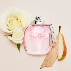 Coach Eau de Toilette< Eau De Toilette|Eau De Toilette