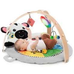 Baby Einstein Motorik & Bevægelse>egetæppe Zen's Activity Milestones