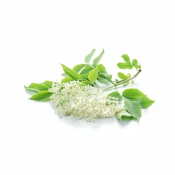 Less Is More Tilbehør|Saltvandsspray<Elderflower Salt Spray